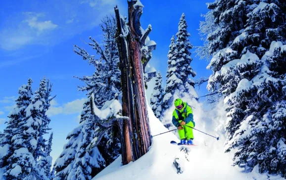 best freeride skis 1