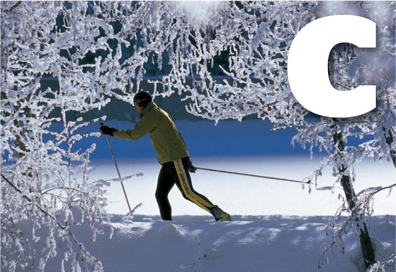 C-cross-country-skiing_Tirol