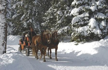Horse_Drawn_Carriage_ride_Seefeld_tirol Horse_Drawn_Carriage_ride_Seefeld_tirol