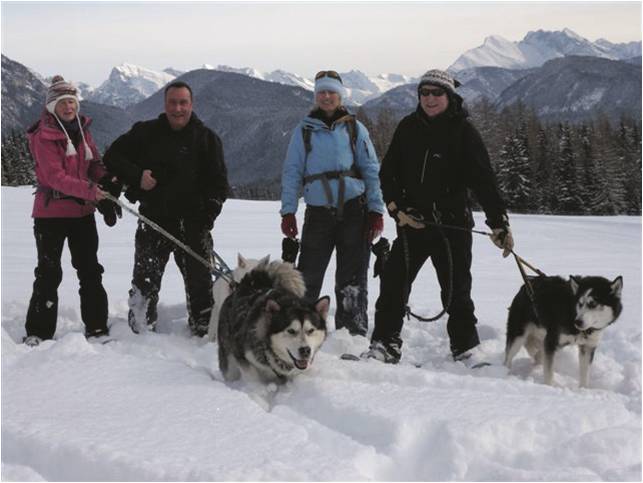 huskies_tirol