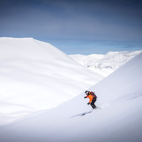 Freeride Pirineus.jpg