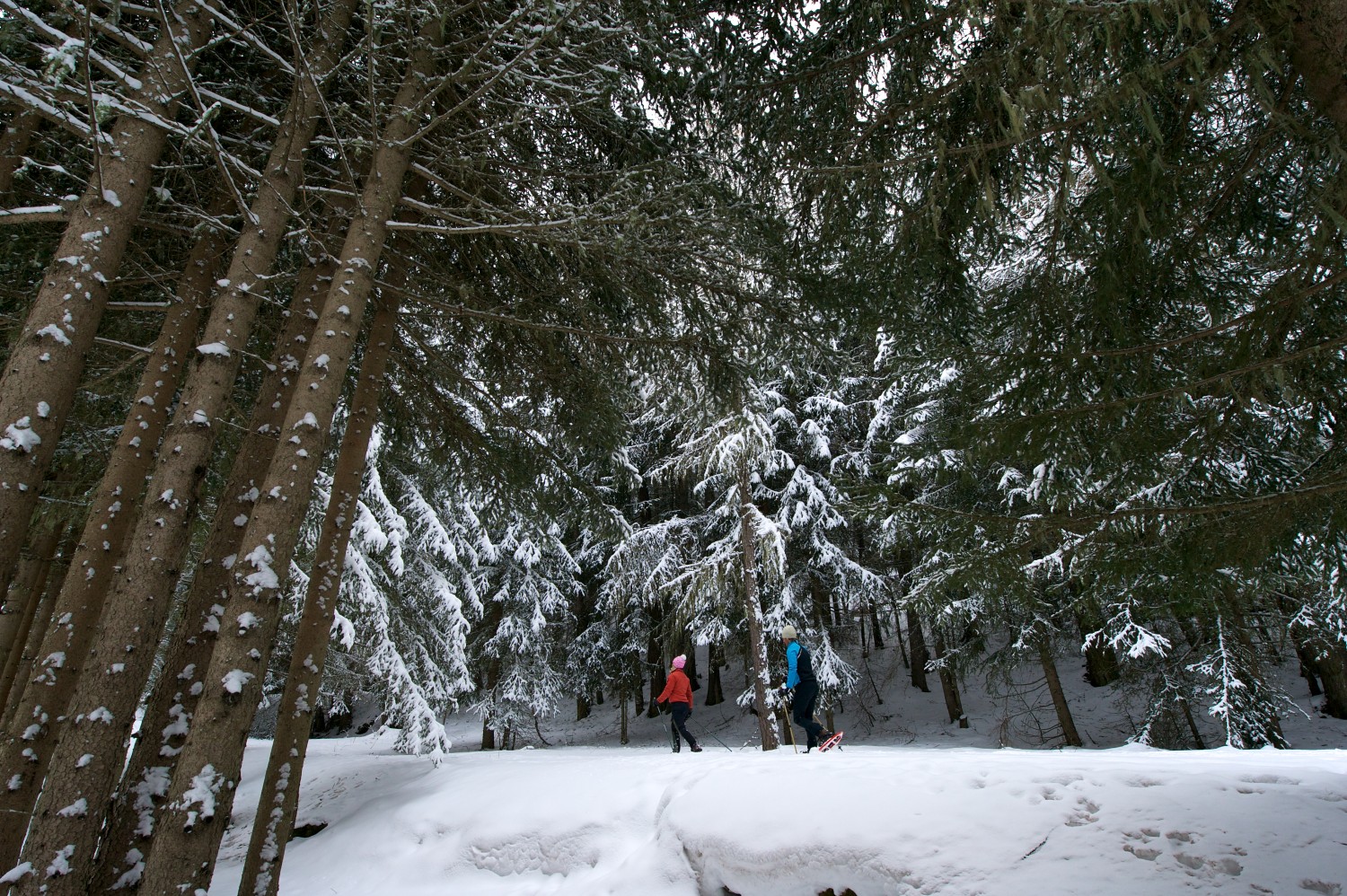 cogne-si-resort-aosta