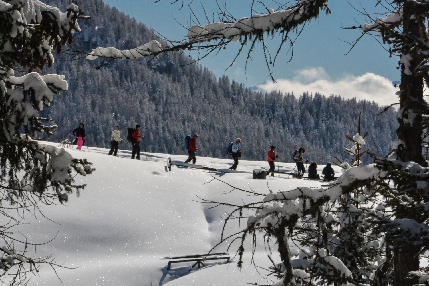 snowshoe-aosta-valley