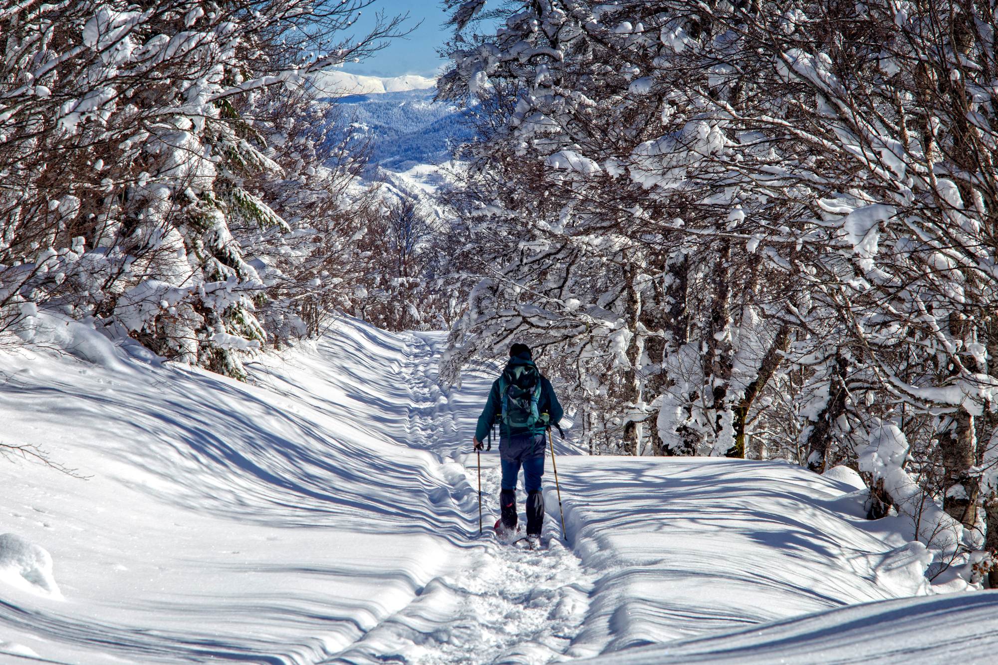skiing-montenegro