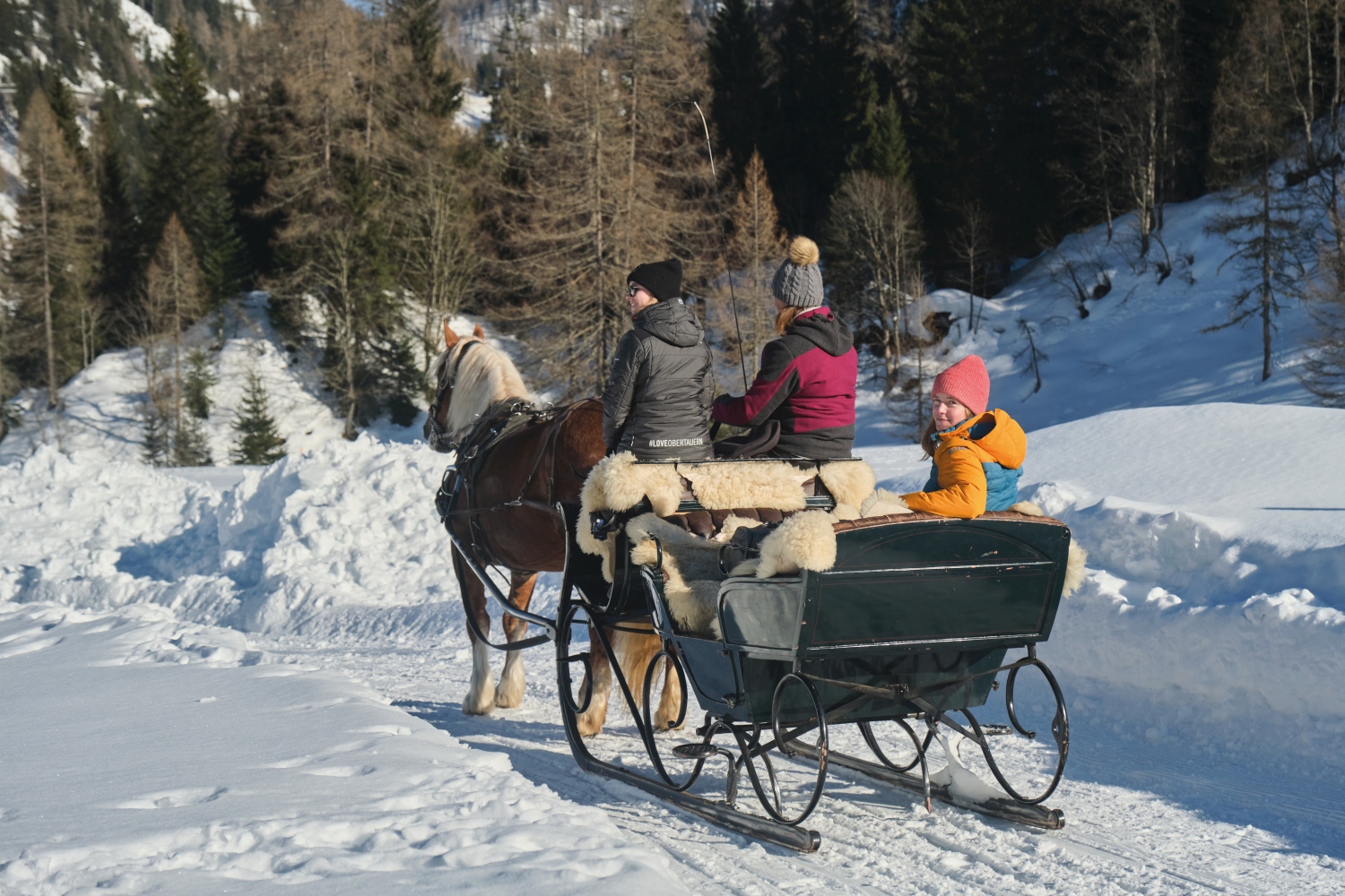 family on a horse and cart in the snow