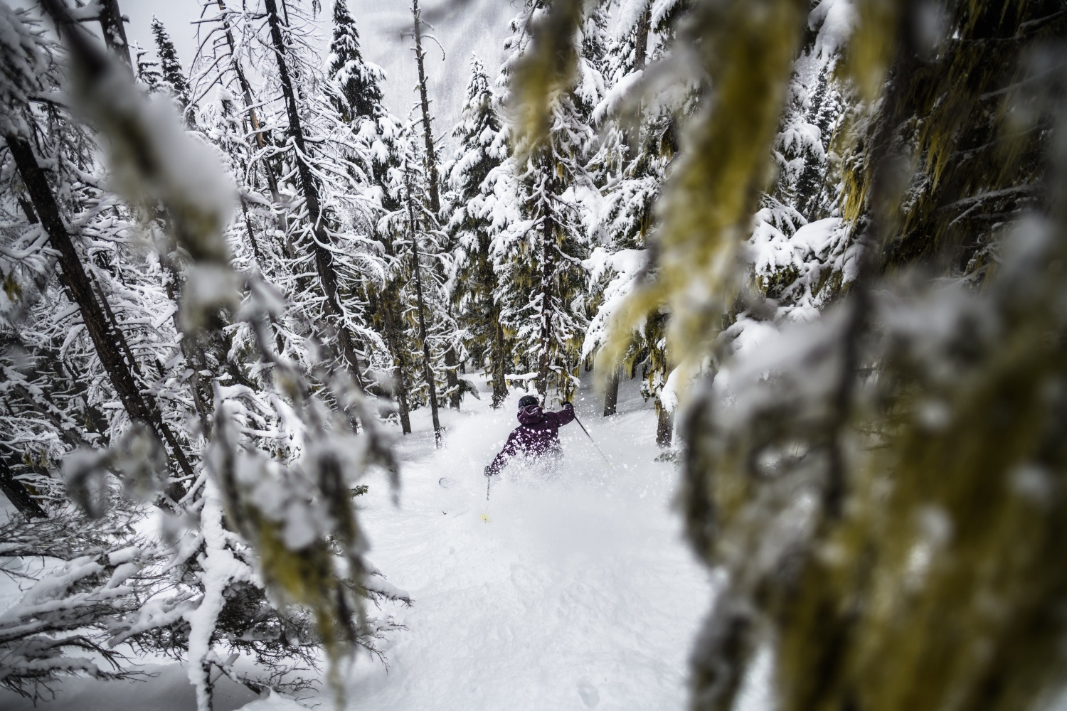 glade-skiing-whistler