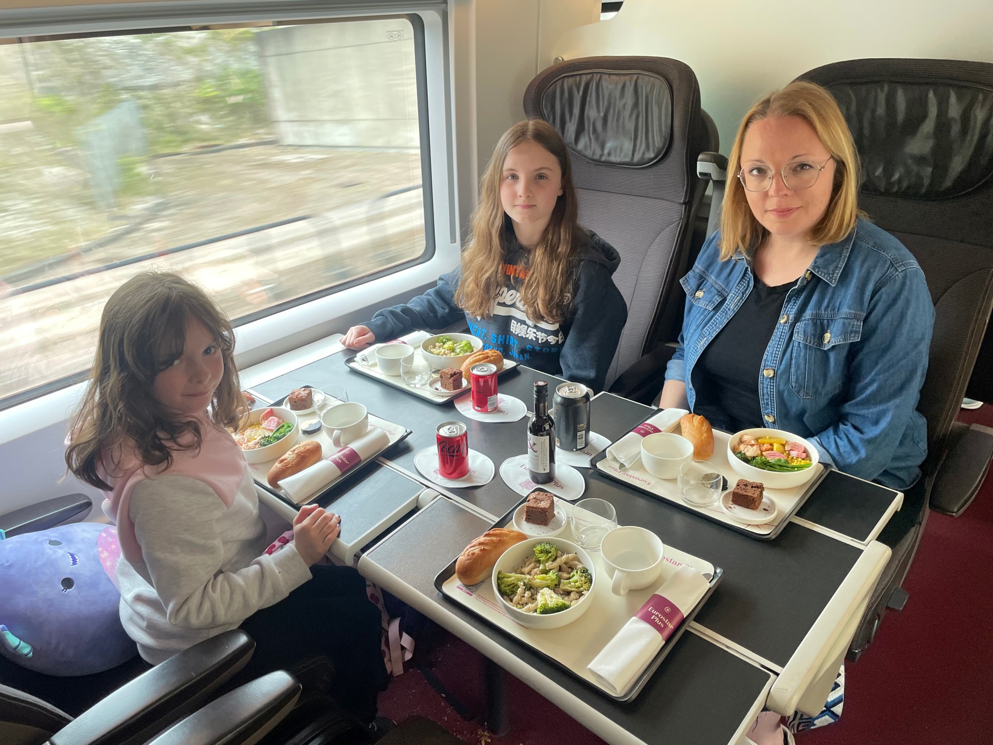 train-journey-to-the-alps