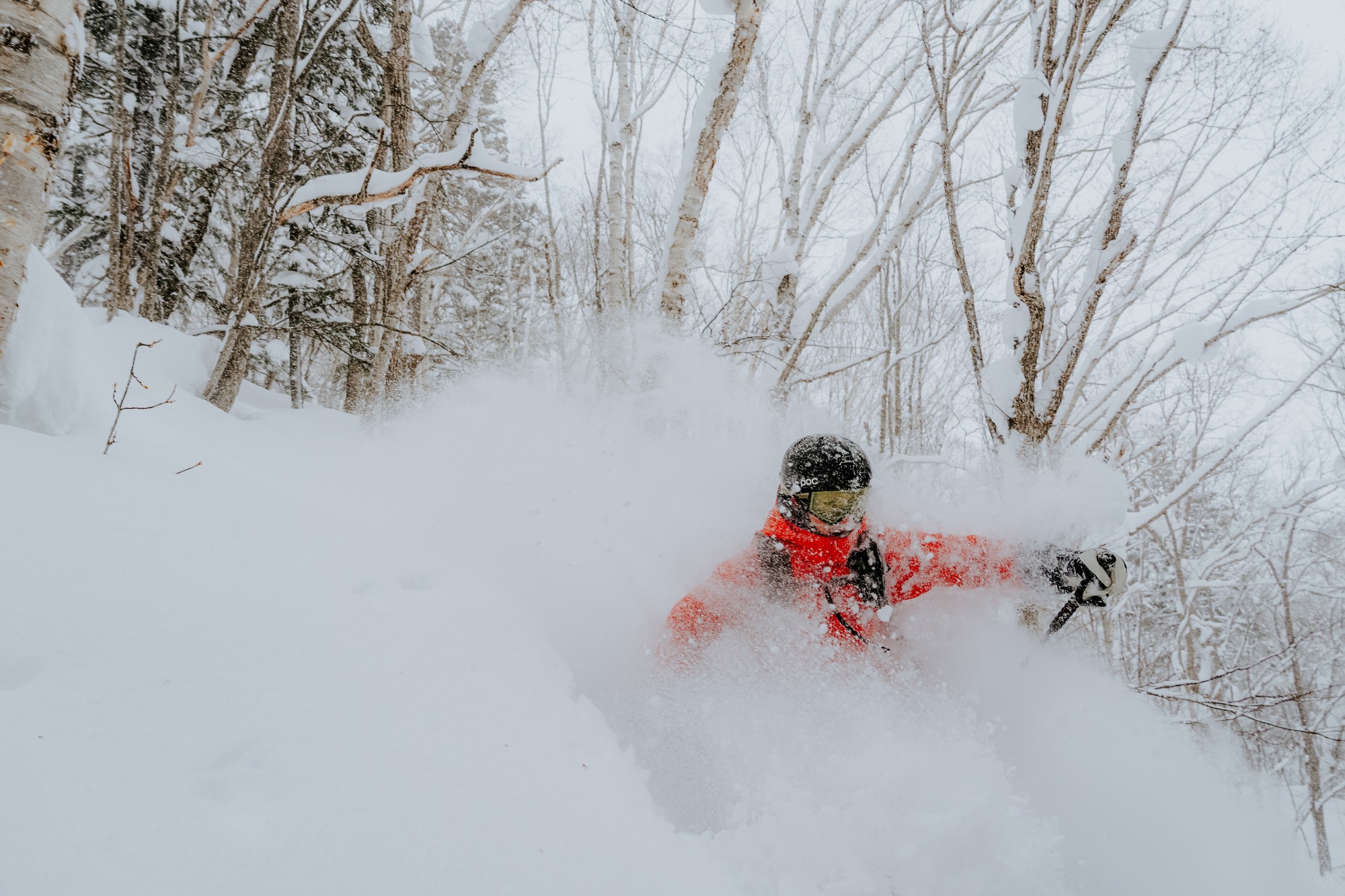 skiing-japan