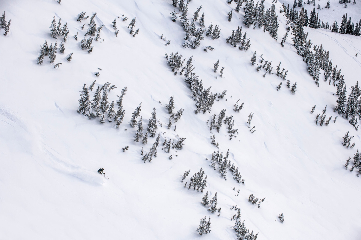 skiing-whsitler-canada