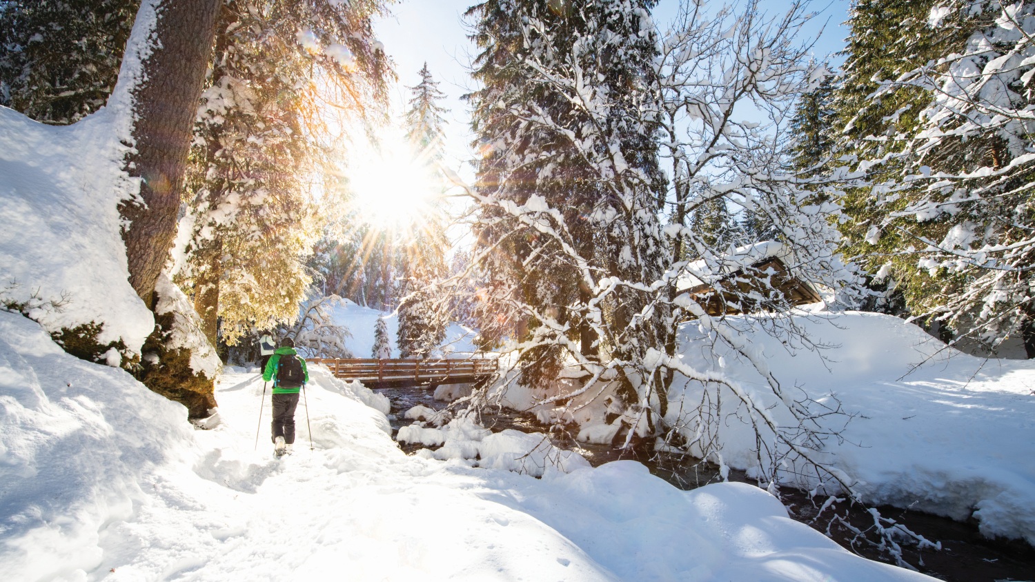 snowshoeing-winter-hiking-valais-switzerland