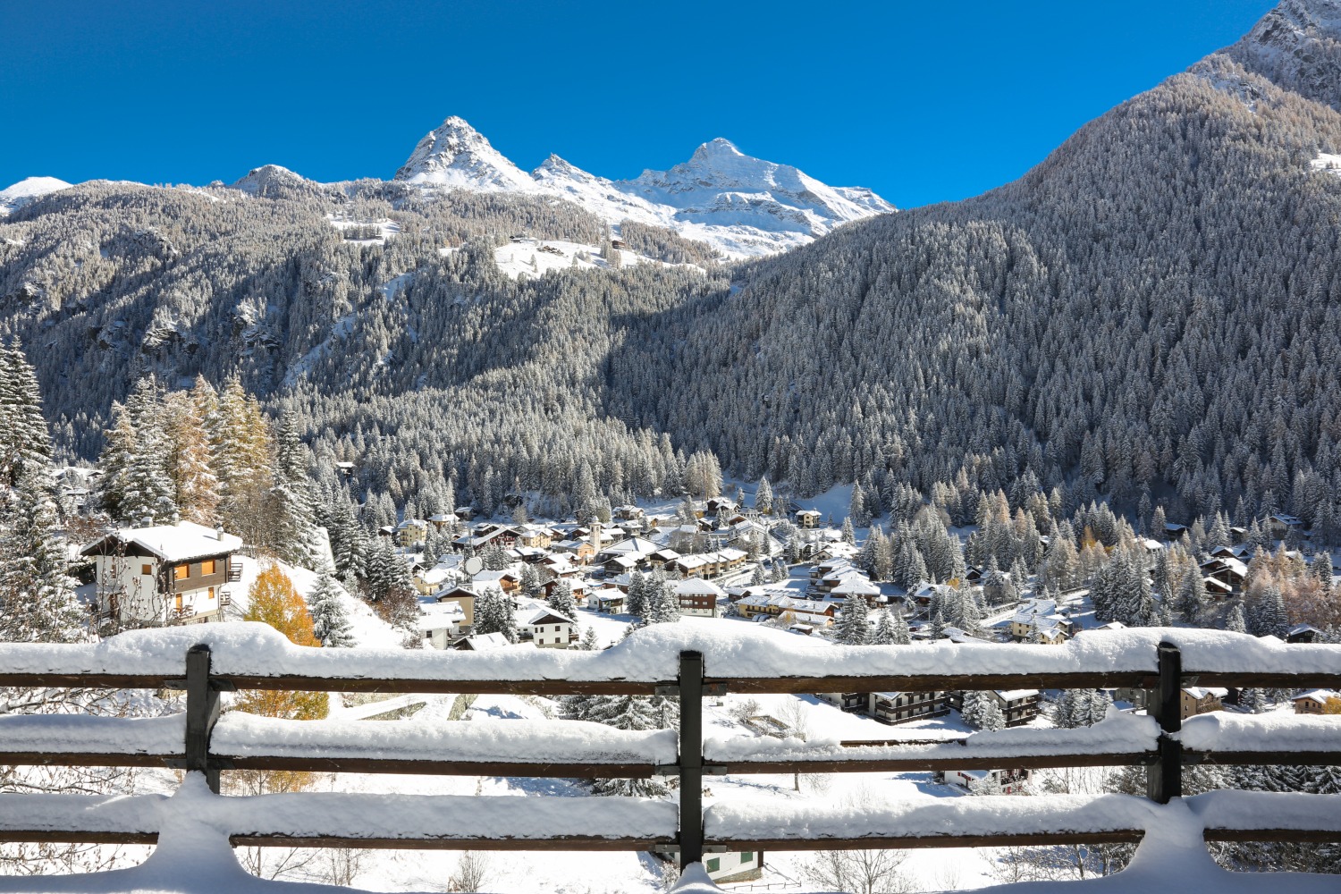 Snowy village amongst trees and mountains: Champoluc, Valle d'Aosta