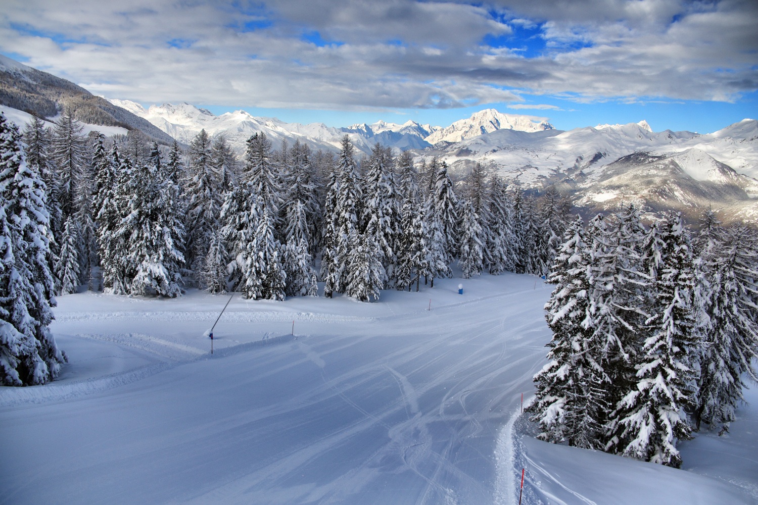 Fresh ski slope leading to snow covered trees: Pila, Valle d'Aosta