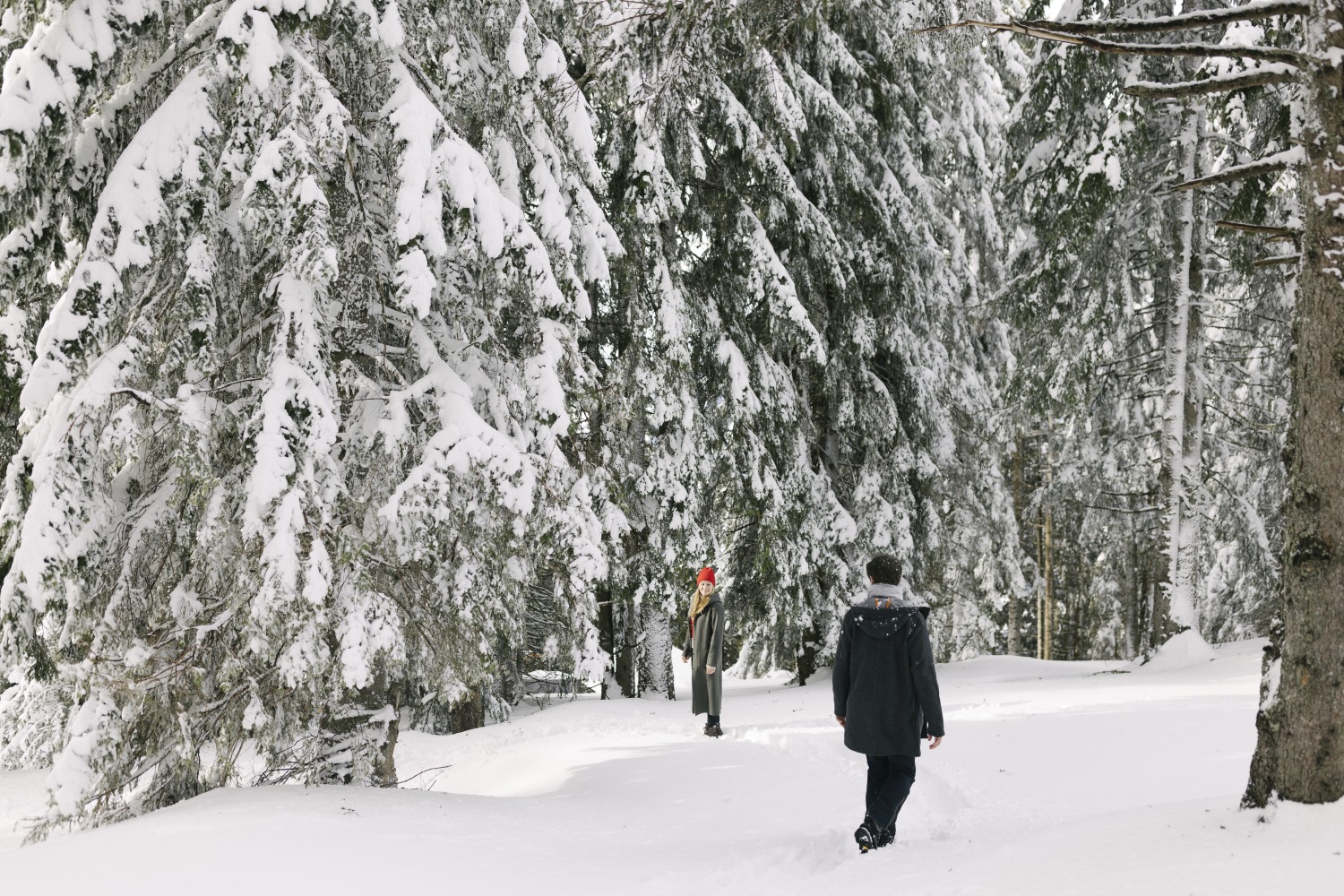 winter-hiking- Kitzbühel