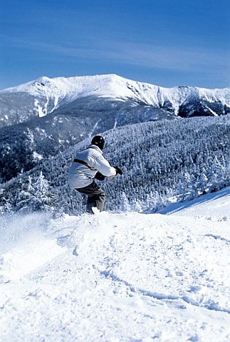 Cannon4_image_for_webpage