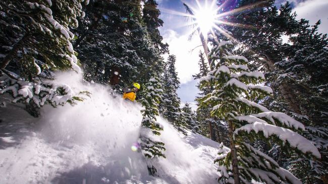 Diving headfirst into the Colorado pow © Martin Orton.jpg