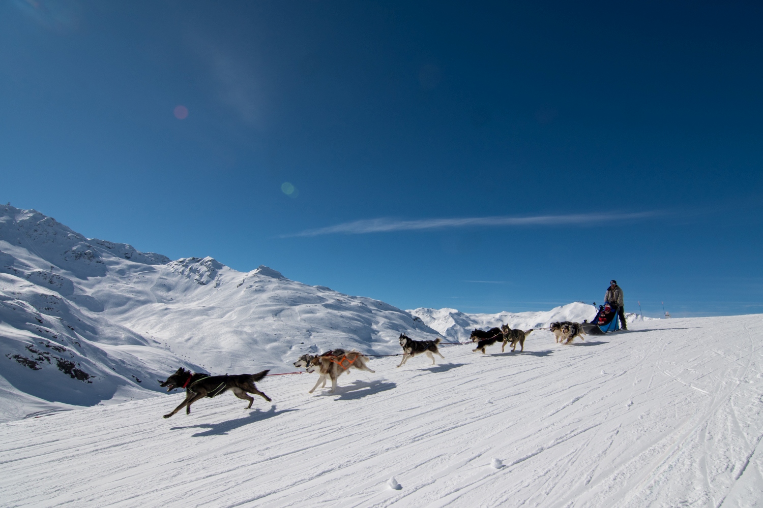 dog-sledding-val-thorens-france