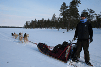 FinlandHuskies