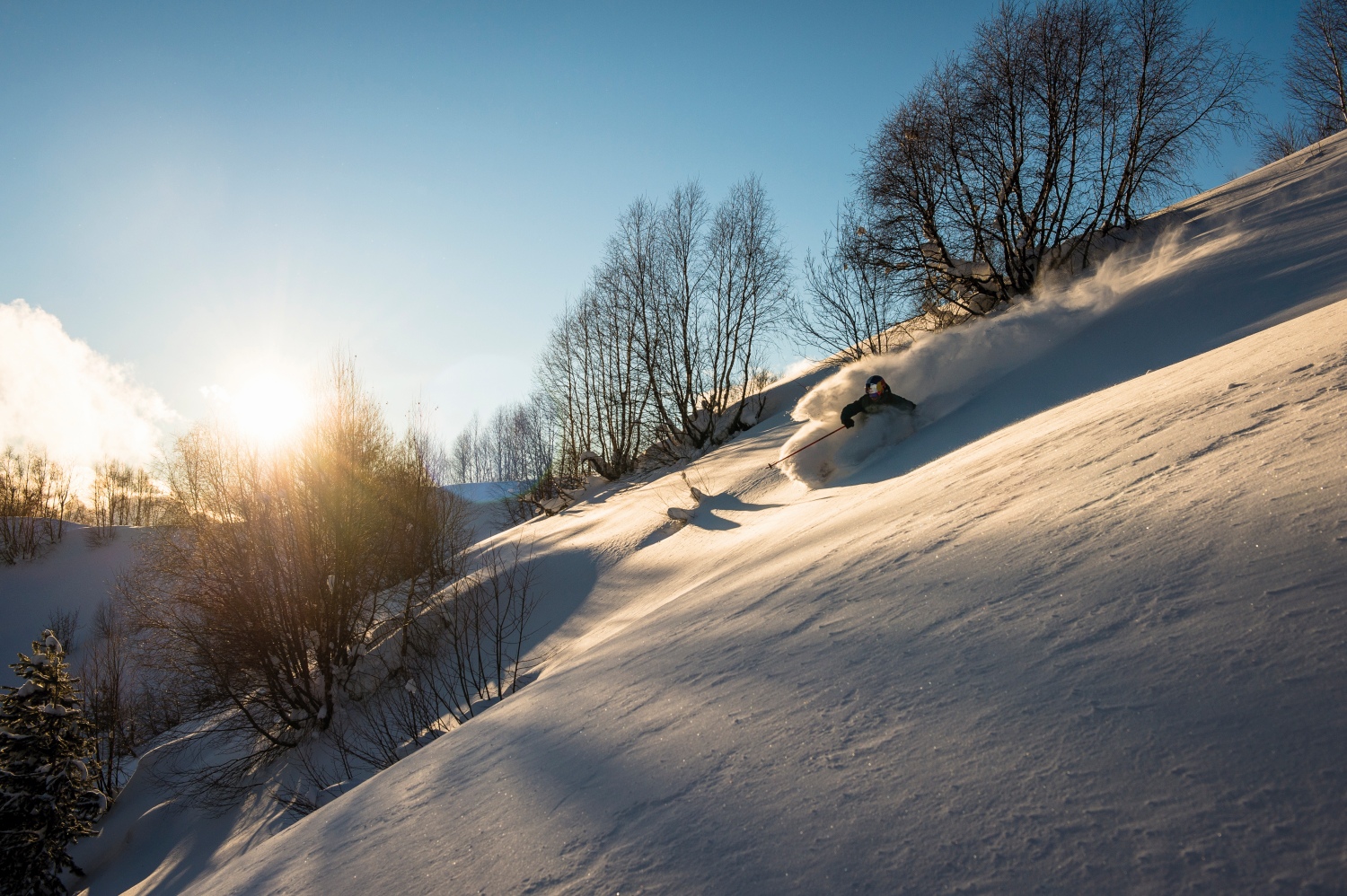 Georgia-powder-skiing