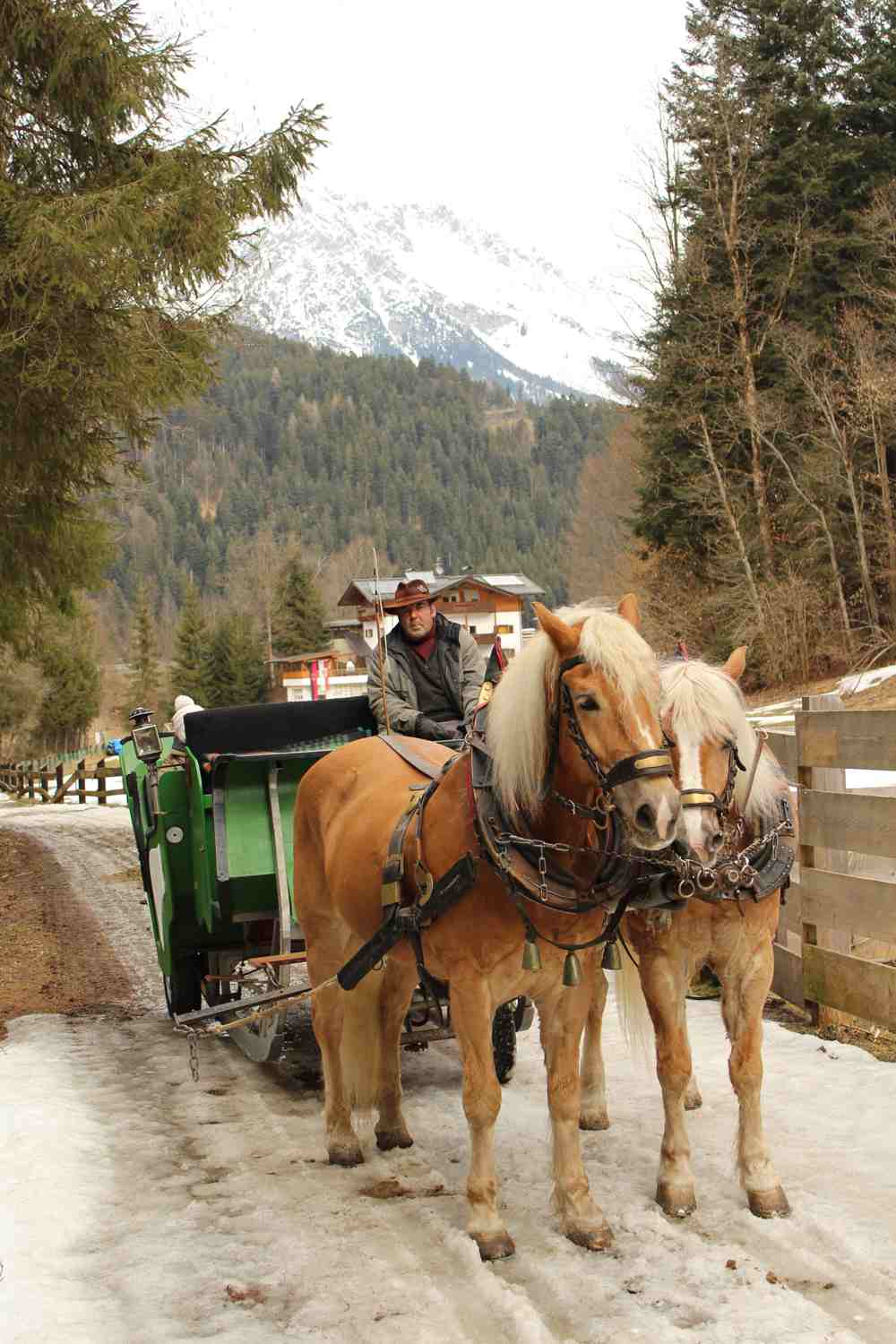 Horse drawn carriage