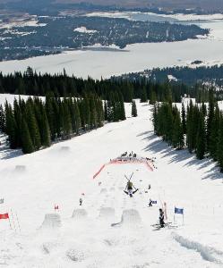 Idaho_Lake_Cascade_Tamarack