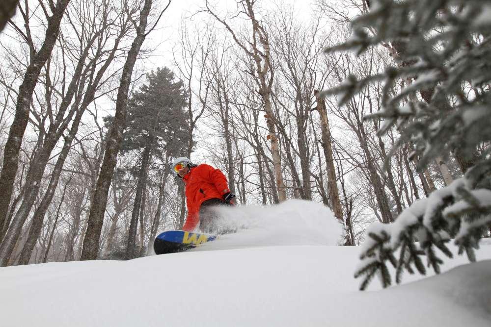 In_the_woods_Killington.jpg