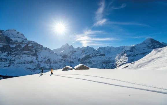 skiing and snowboarding up in the peaks of grindelwald bern credit davidbirri