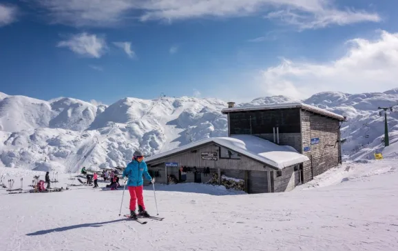 skiing by vogels orlove glave eaterie web