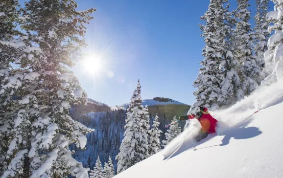 the wonderful powder skiing in park citys greatest snow on earth