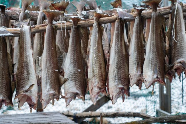 Local cuisine, Finnmark, Norway ©Kene Ezeji-Okoye.jpg