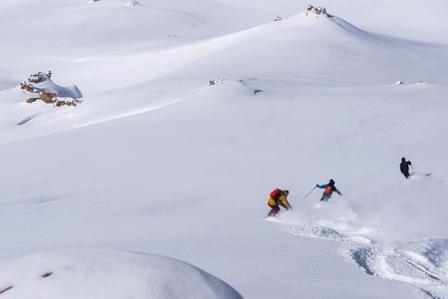 Making tracks in the glorious fresh snow © Daniel Wildey.jpg