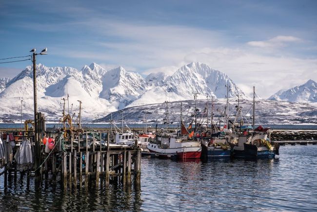 Oldervik harbour_web.jpg