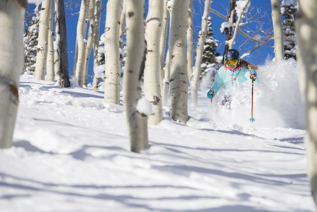 Powder skiing in Park City.jpg