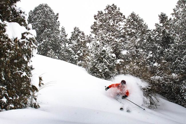 Powder, Uzbekistan ©Tristan Kennedy.jpg