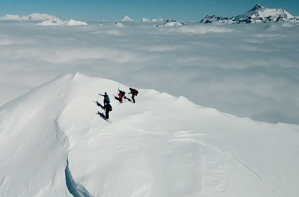 skibro grab web