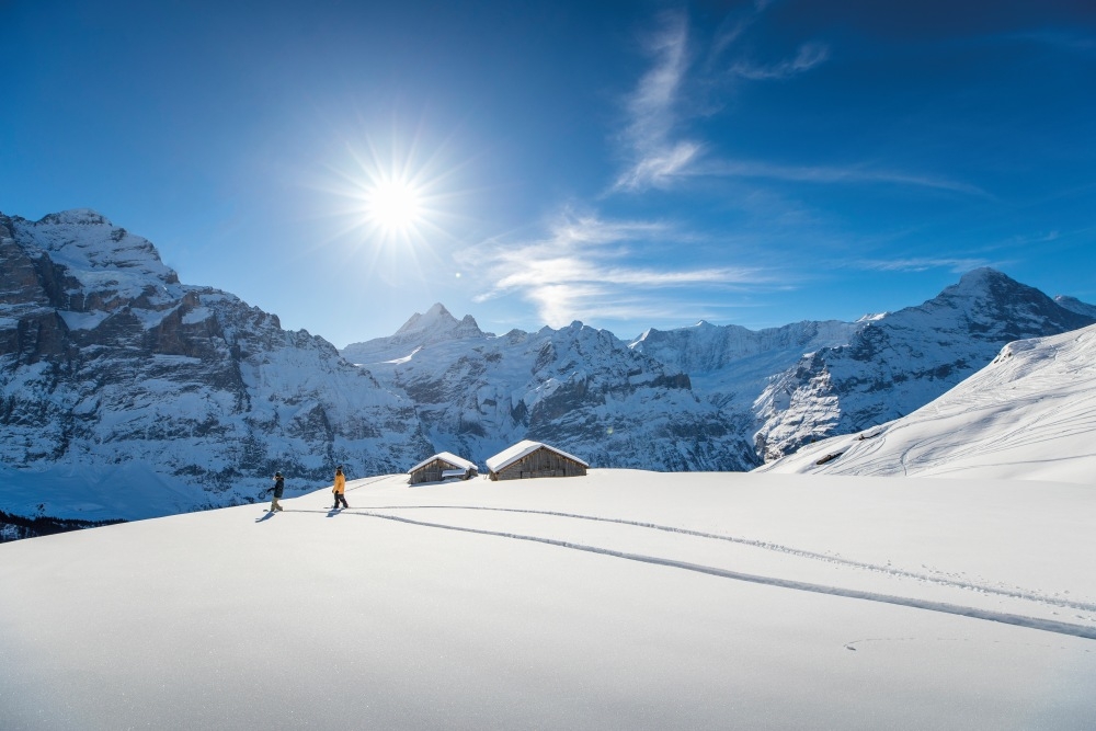 skiing and snowboarding up in the peaks of grindelwald bern credit davidbirri