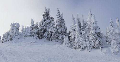 Sun Peaks Snow Whistler Canada