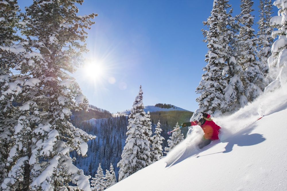 the wonderful powder skiing in park citys greatest snow on earth