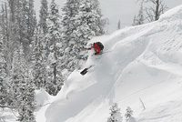 Wyoming-Skier