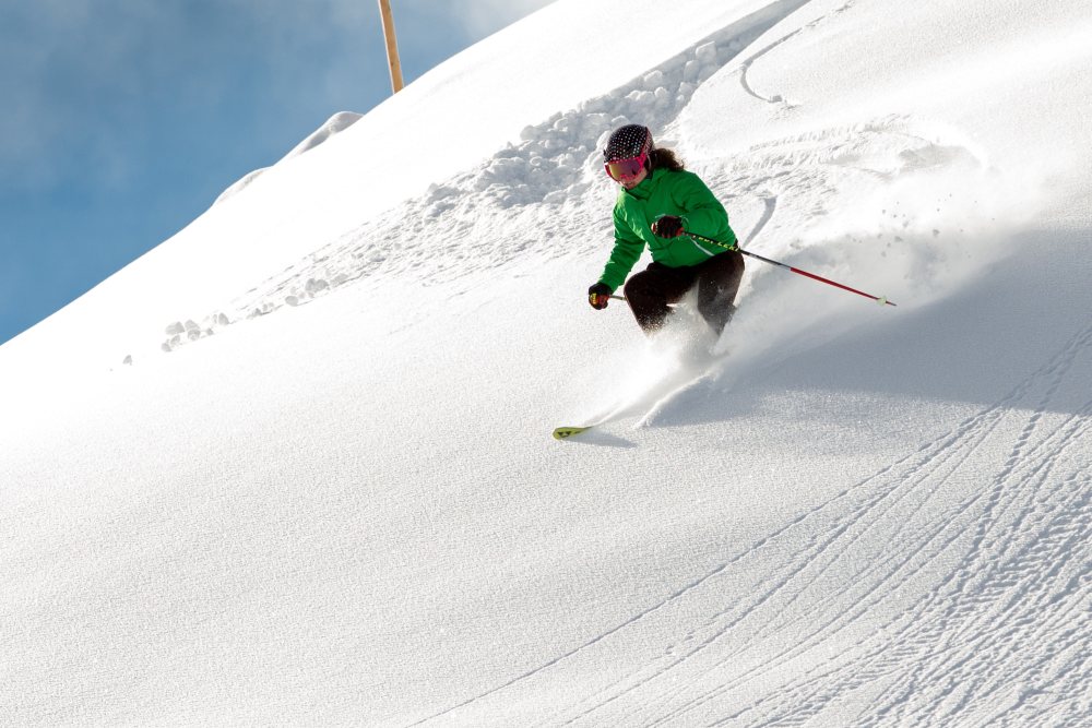 SnowTrex Skier_web.jpg