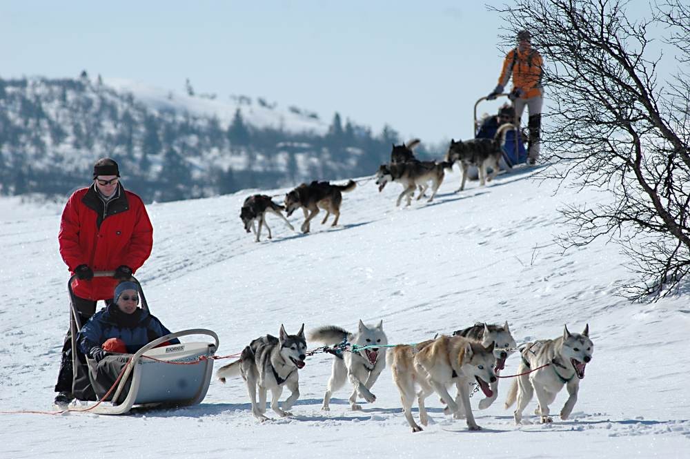 husky ride norway