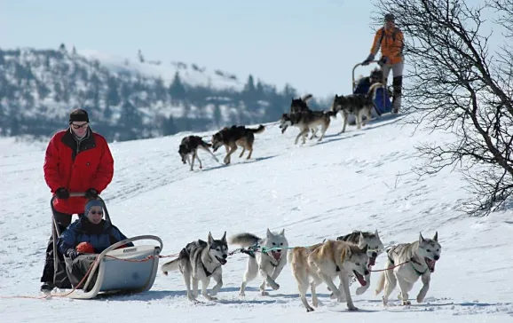 husky ride norway