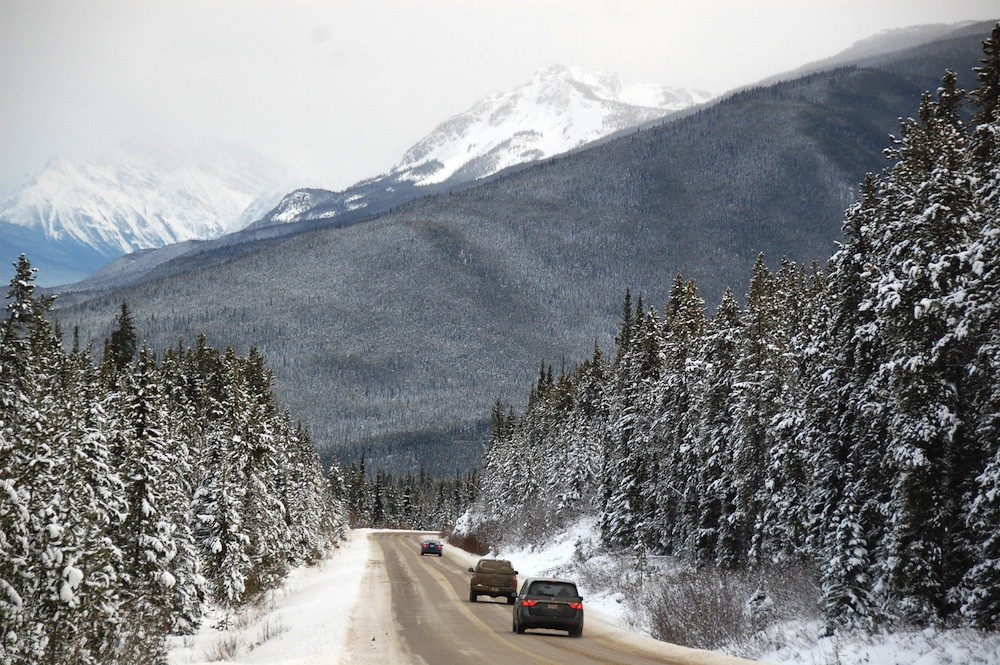 2702 view to marmot basin jasper national park credit karen bowerman