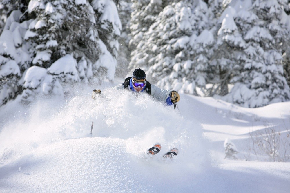 2533 deep powder skiing in idaho credit alf alderson