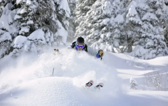 2533 deep powder skiing in idaho credit alf alderson