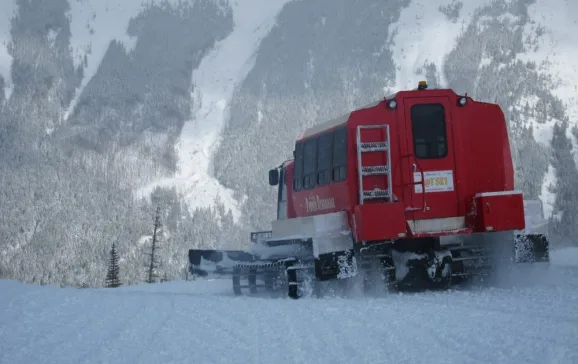 cat skiing castle mountain canada