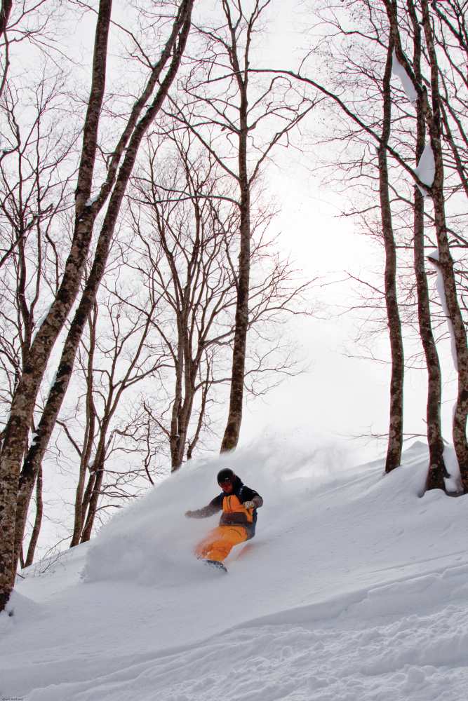 Pete Coombs powder turn Akakura Tenko 3