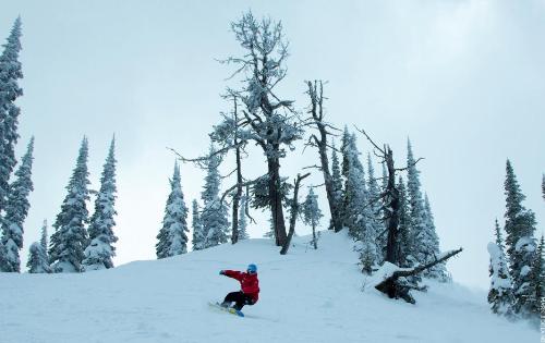 Snowboarding in Fernie, Canada Snowboarding_fernie_canada