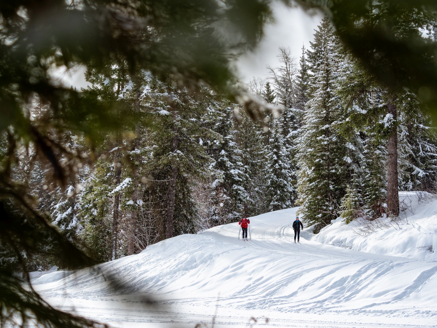 cross-country-skiing-golden-bc-canada