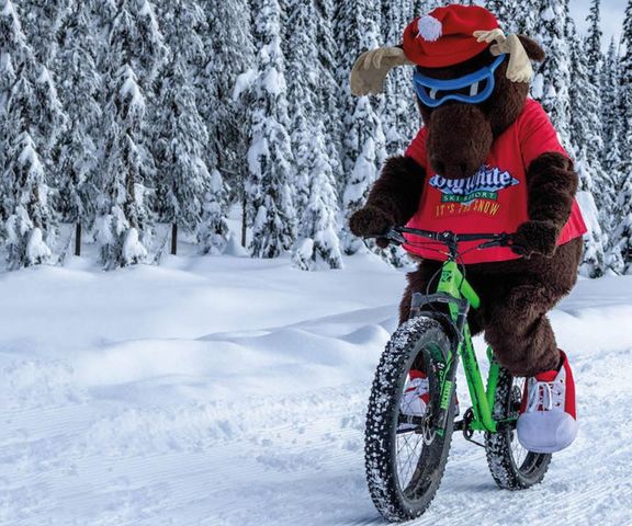 Big White fat biking 2.jpg