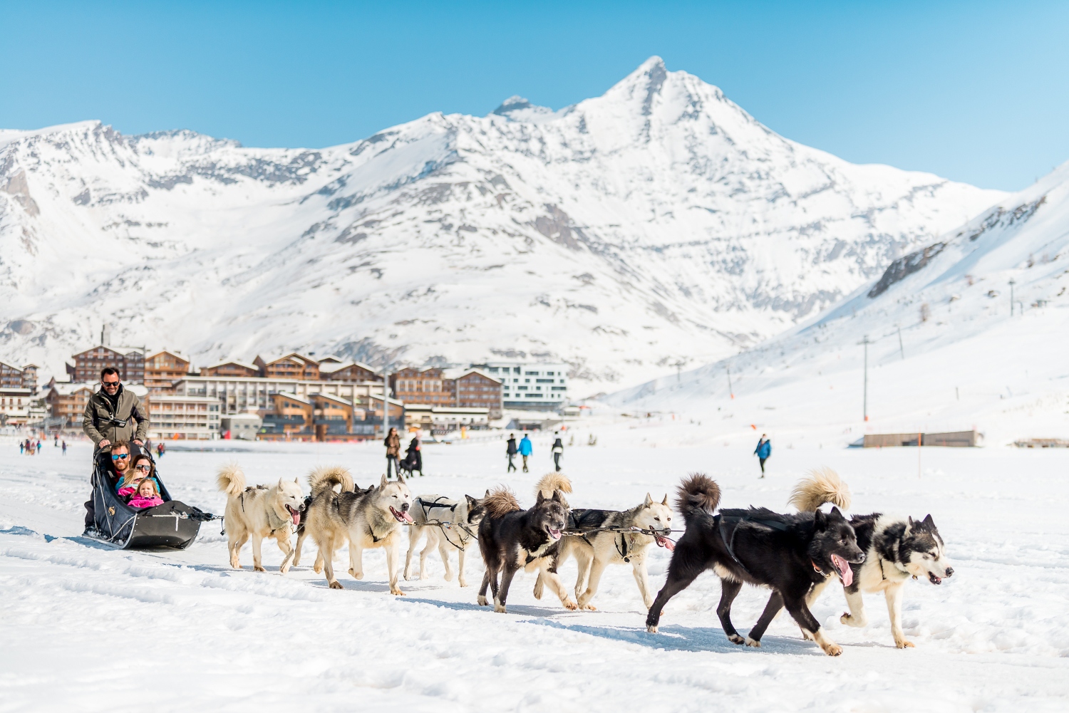 dog-sledding-tignes-france